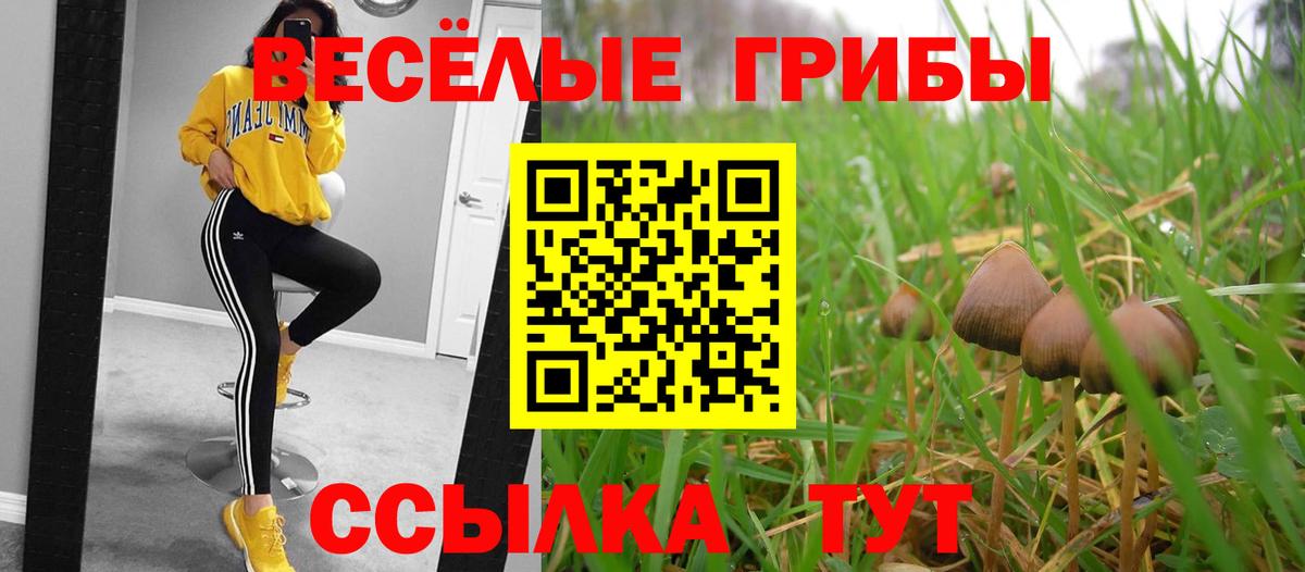 магазин продажи наркотиков  Вход с VPN  Сорочинск  Псилоцибиновые грибы Cubensis 